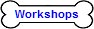 Workshops, Seminars and Courses